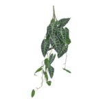 PENDENTE FOLHA ALOCASIA