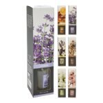 MIKADO 100ML SORTIDOS