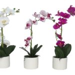 ORQUIDEAS EM VASO C/9 FLORES SORTIDAS
