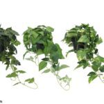 VASO PENDENTE DE FOLHAS SORTIDOS