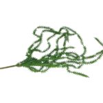 HASTE PENDENTE SUCULENTAS COR:VERDE