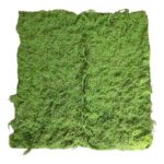 TAPETE DE MUSGO 1.00MTX1.00MT