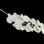 ARTIFICIAL- PHALENOPSIS COLECCION NEVADA