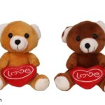 URSO DE PELUCHE CORAÇAO SORTIDOS