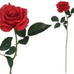 ARTIFICIAL- PE DE ROSA