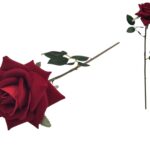 HASTE ROSA VELUDO COR:VERMELHO