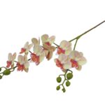 ARTIFICIAL-PHALAENOPSIS MINI X10 TOQUE REAL