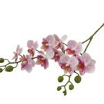 ARTIFICIAL-PHALAENOPSIS MINI X10 TOQUE REAL