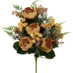 MOLHO PEONIA-ENKIAN X16 COR:CHA