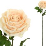 PE ROSA CAROLINA COR:BEGE