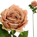 PE ROSA CAROLINA COR:CORAL