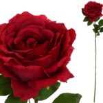 PE ROSA CAROLINA COR:VERMELHO