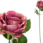 PE ROSA CAROLINA COR:FUCSIA