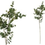 ARTIFICIAL- PE DE EUCALIPTO X 5