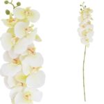 ARTIFICIAL- PHALAENOPSIS R/TOUCH X9 COR:CREME