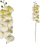 ARTIFICIAL- PHALAENOPSIS X9 REAL TOUCH COR:CREME