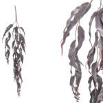 ARTIFICIAL- PENDENTE EUCALIPTO "ANTI-FOGO" COR:BORDO