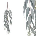 ARTIFICIAL- PENDENTE EUCALIPTO "ANTI-FOGO" COR:VERDE