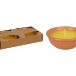 CONJ.2 VELAS CITRONELLA DIA 8.5 35G