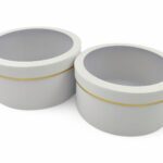 CONJ.2 CAIXA C/TAMPA TRANSPARENTE COR:BRANCA