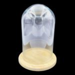 CUPULA VIDRO C/BASE MADEIRA