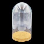 CUPULA VIDRO C/BASE CORTIÇA