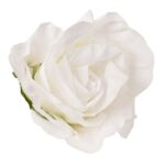 ROSA GIGANTE IMPERMEÁVEL DIA.60CM