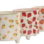 CONJ.2 VASOS C/PES FRUTOS SORTIDOS