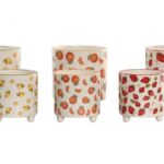 CONJ.2 VASOS C/PES FRUTOS SORTIDOS
