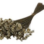 MOLHO GLIXIA 50CM 50GRS COR:NATURAL