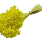 MOLHO GLIXIA 50CM 50GRS COR:AMARELO