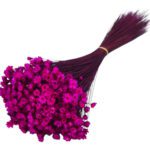 MOLHO GLIXIA 50CM 50GRS COR:FUCSIA