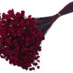 MOLHO GLIXIA 50CM 50GRS COR:VERMELHO