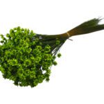 MOLHO GLIXIA 50CM 50GRS COR:VERDE