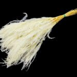 MOLHO FETO 60/80CMS COR:BRANCO