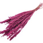 LICOPODIUM LONGO PRESERVADO 40/50CM