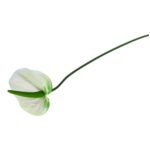 ARTIFICIAL- ANTURIO MINI COR:BRANCO