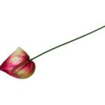 ARTIFICIAL- ANTURIO MINI COR:ROSA