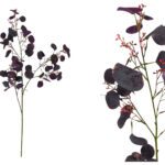 ARTIFICIAL- EUCALYPTUS COR:BORDO