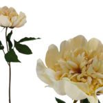 ARTIFICIAL- PE PEONIA COR:BEGE