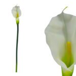 ARTIFICIAL- JARRO BRANCO