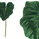 ARTIFICIAL- FOLHA ALOCASIA TOQUE REAL