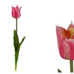 ARTIFICIAL- PE TULIPA ABERTA COR:ROSA