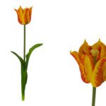 ARTIFICIAL- PE TULIPA ABERTA COR:LARANJA
