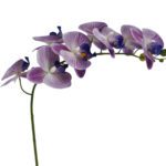 ARTIFICIAL- PHALENOPSIS TOQUE REAL X8 COR:LILAS