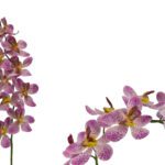 ARTIFICIAL- VANDA COR:ROSA