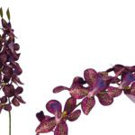 ARTIFICIAL- VANDA COR:ROSA