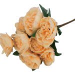 ARTIFICIAL- MOLHO PEONIAS X9 COR:CREME