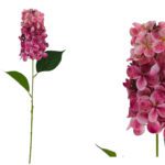 ARTIFICIAL- HYDRANGEA PANICULATA COR:ROSA