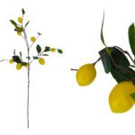 ARTIFICIAL- PE HASTE LIMOES